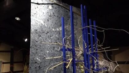 越前和紙×生け花で生命力を表現　高さ2mの大作が出迎える展覧会　和紙造形作家と華道家10人が30点を共同制作　越前市・卯立の工芸館で12日まで