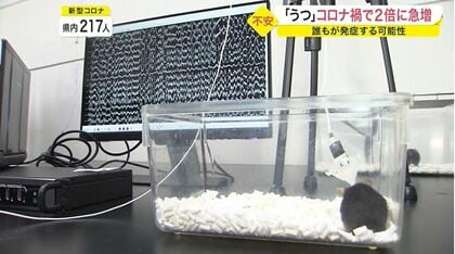 うつ症状のメカニズム解明へ　特徴的な「脳波パターン」とは…東北大学が世界初の発見【宮城発】