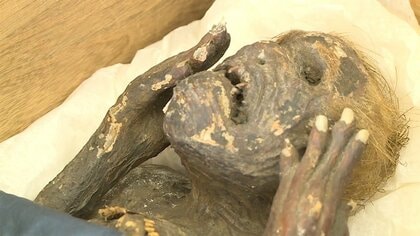 「人魚のミイラ」は妖怪ではなく造形物　最新技術で分析…研究チーム発表【岡山発】