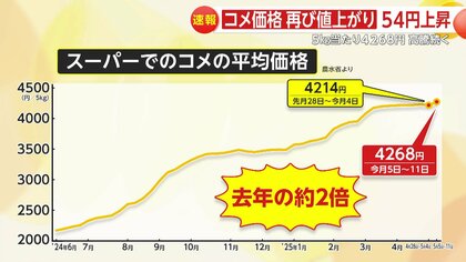 コメ買ったことない」江藤農水相発言に批判…石破首相も謝罪 米価格再び