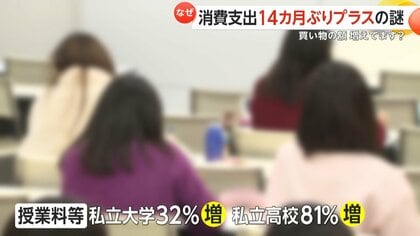 14カ月ぶりに2人以上世帯の消費支出がプラスに 消費の“二極化”顕著に