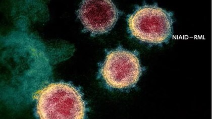 宮城 最新 コロナ 新型コロナウイルスワクチン接種