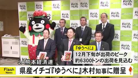 ＪＡ熊本経済連が県産イチゴ『ゆうべに』を木村知事に贈呈