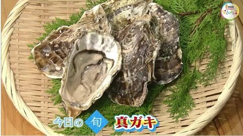 “不漁”で大ピンチの瀬戸内海のカキの成育を祈って…冬の味覚の代表格「真ガキ」を塩焼きにして味わう【岡山・香川発】