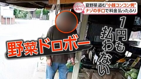 悪質ウソも!?夏野菜ドロボー“仰天”手口【しらべてみたら】