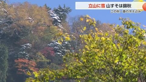 錦秋の称名滝(標高1，080ｍ)紅葉が見ごろ 雪とのコントラスト楽しもうと観光客続々