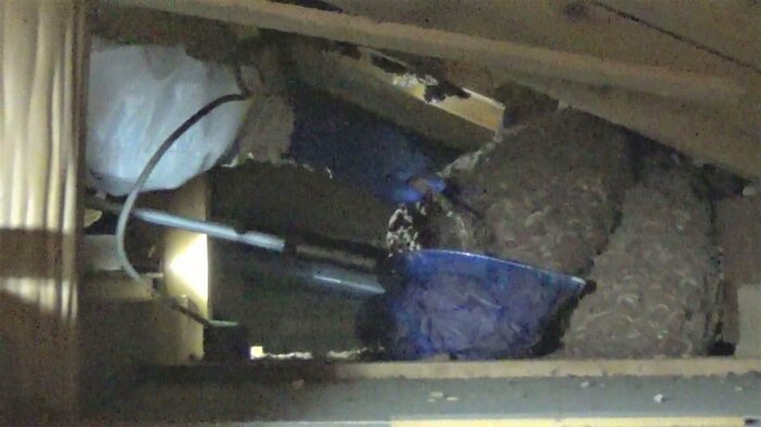 殺虫剤でスズメバチを弱らせ、道具で少しずつ巣を崩す