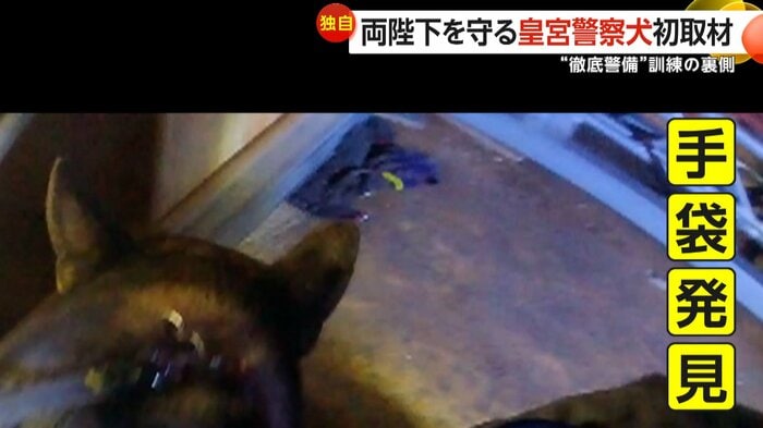 手袋を発見するカペル号