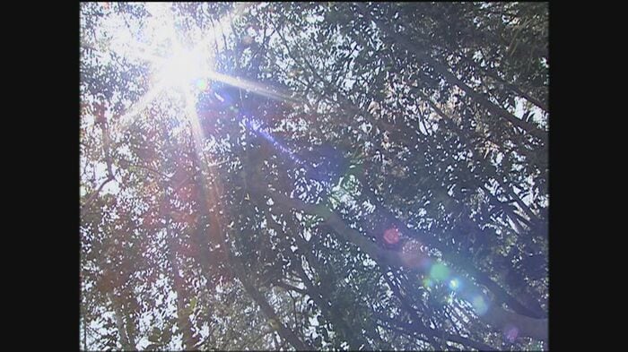 女の遺体が見つかった現場