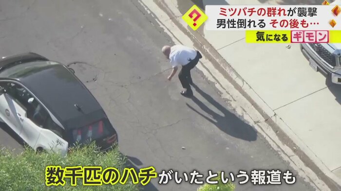 (KTTV FOX 11 NEWS)