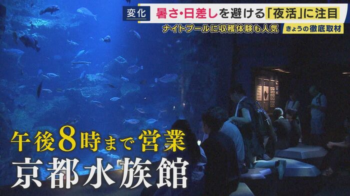 京都水族館は午後8時まで開館