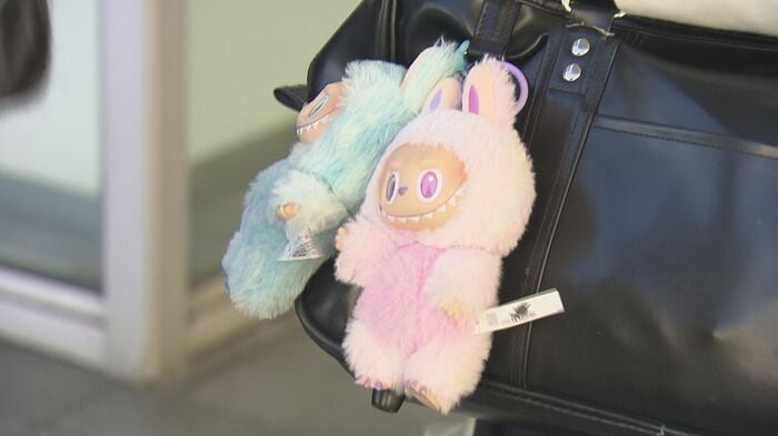 大ブームとなったラブブ