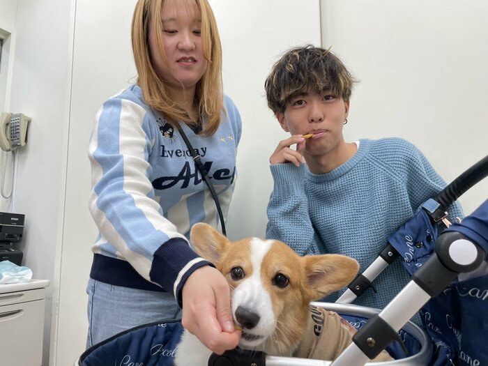 開発したクッキーを食べる犬と大学生