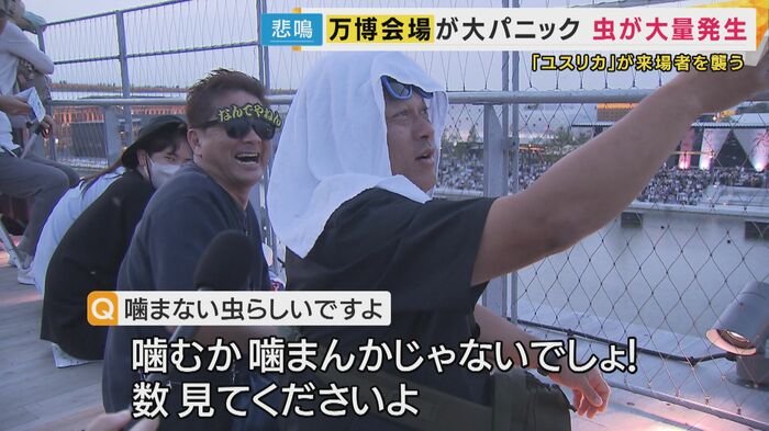 来場者