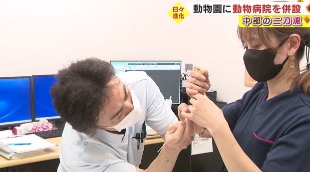 動物病院のスタッフ