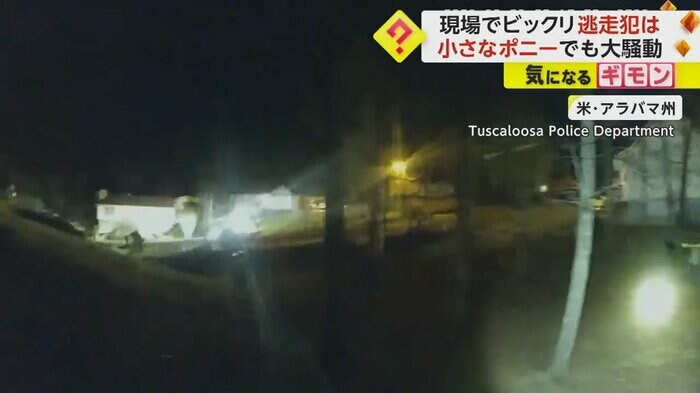 夜、通報を受けた警察がライトであたりを照らす