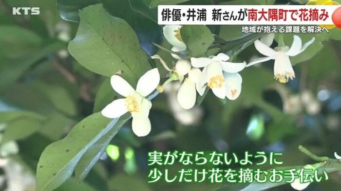 辺塚だいだいの現状に向き合う井浦さんのお手伝い