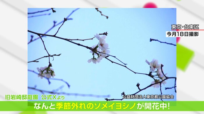 東京・台東区　旧岩崎邸庭園