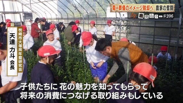 「枕崎市大塚周年菊研究会」の取り組み