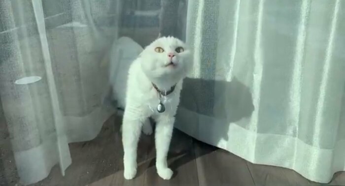 提供:ハク様