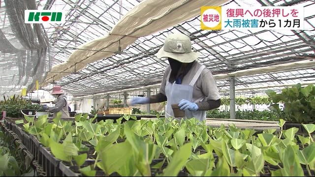 大雨特別警報から1カ月 被害受けた大村の今は