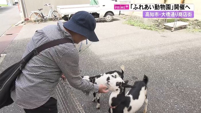 鮮魚店の店先で「ふれあい動物園」開催 ヤギとミニチュアホースで心のケアと癒やしを…