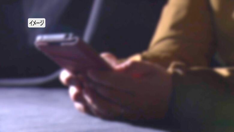 「SNS型投資・ロマンス詐欺」の被害は141件・17億5500万円余り　2024年に入り県内の被害が急増　被害者は65歳未満が全体の4分の3｜FNNプライムオンライン