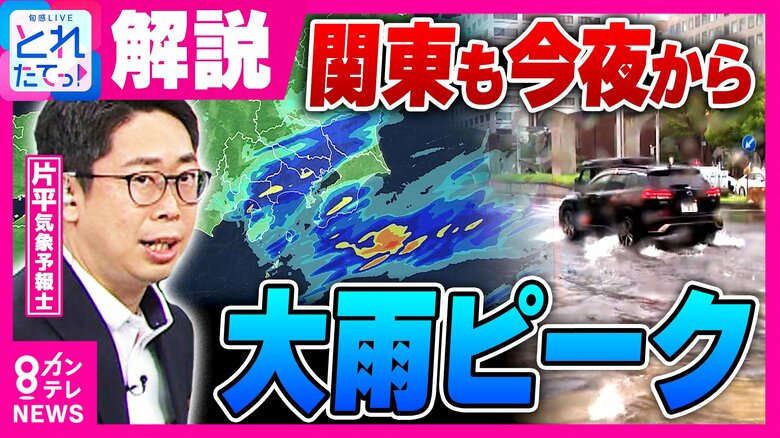 【大雨解説】気象予報士「線状降水帯発生したら終電前後に電車止まる可能性も」 車の水没を防ぐには?「車高やドア・排気口の高さを把握。危険と判断したら路肩に停めて避難。原則『地下施設』避けて」と専門家|FNNプライムオンライン