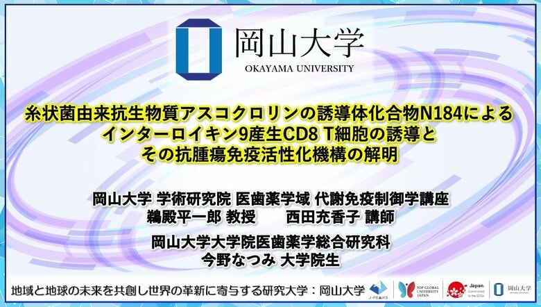 【岡山大学】糸状菌由来抗生物質アスコクロリンの誘導体化合物N184によるインターロイキン9産生CD8 T細胞の誘導とその抗腫瘍免疫活性化機構の解明