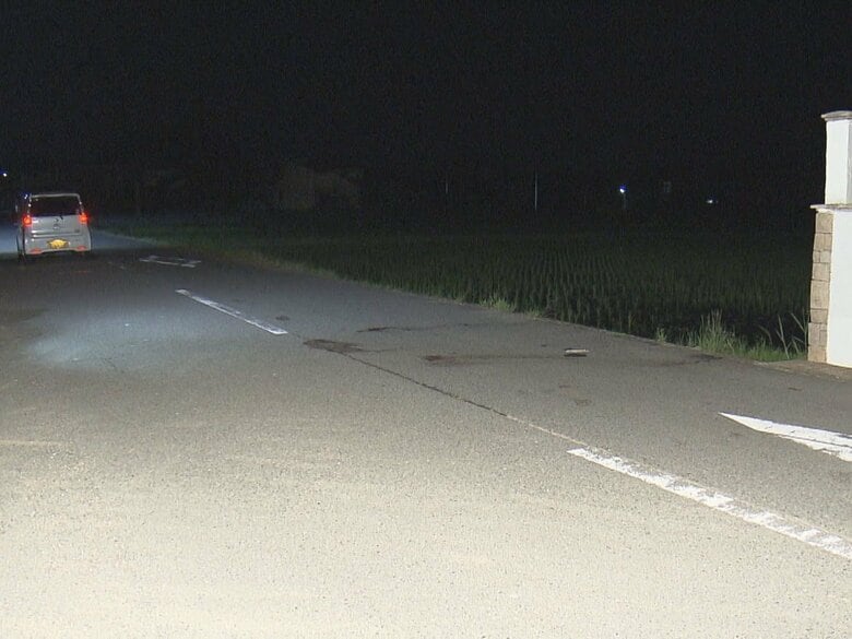 1人は車いすに乗り…後ろから来た車に親子とみられる2人がはねられ40代女性が死亡 車いすの80代女性は軽傷｜FNNプライムオンライン
