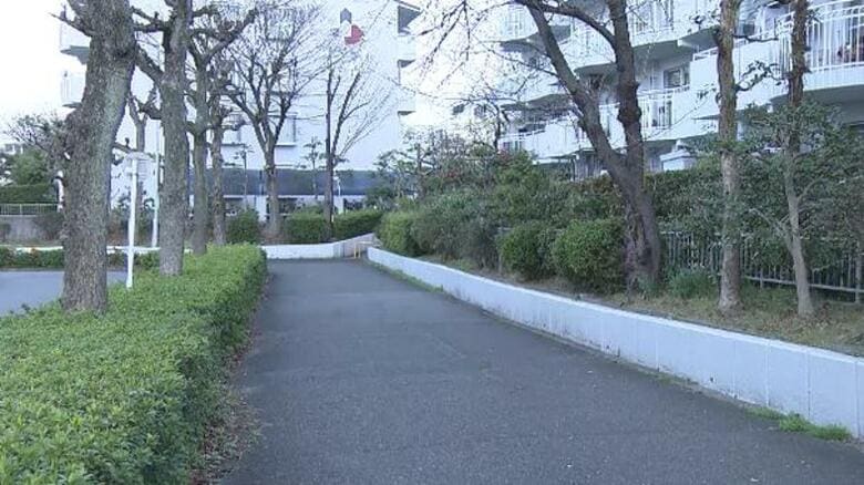 自転車の男性に立ち塞がり拳銃のような物突きつけ「ギブミ―マネー」外国人風の男2人が現金26万円を奪って逃走｜FNNプライムオンライン