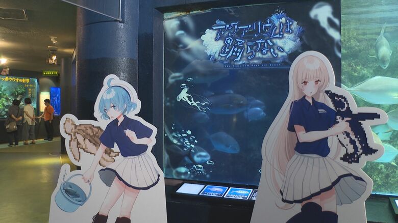 アクアリウムは踊らない×寺泊水族博物館！コラボイベントに連日100人以上のファン訪れる「作品の中に入ったような感覚」新潟・長岡市｜FNNプライムオンライン