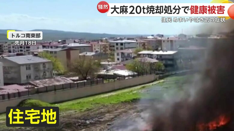 住宅地のすぐ近くだった大麻の焼却処分現場