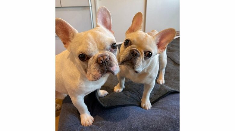 左：まるおくん　右：はるくん