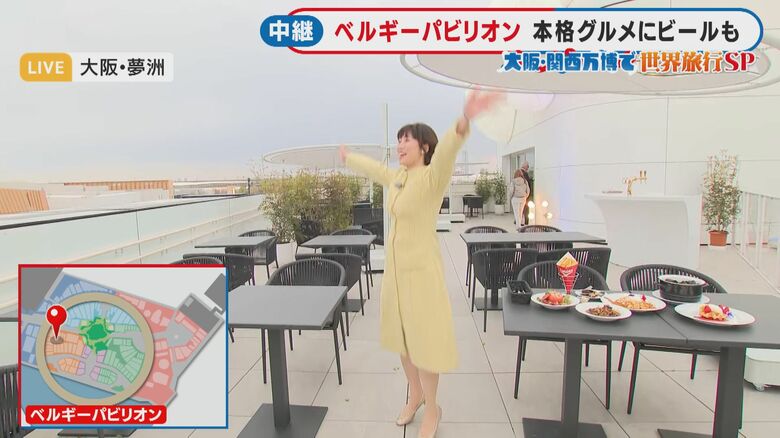 大屋根リングから見ると美術館のよう外観