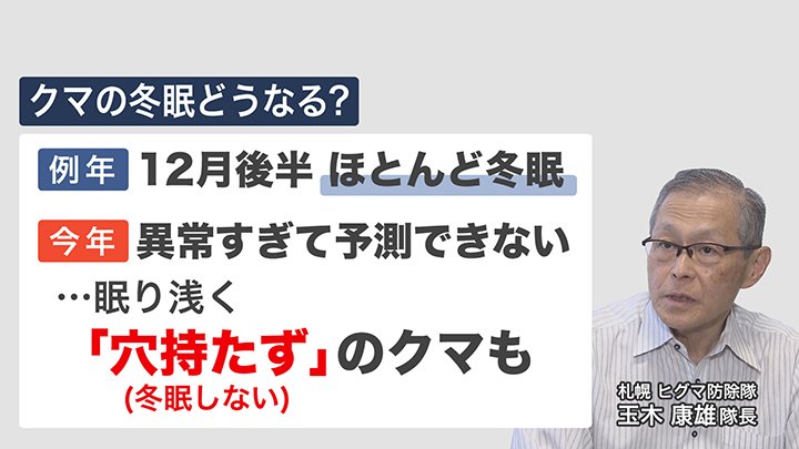 冬眠しない「穴持たず」のクマも