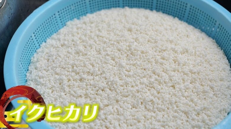 シャリは農家と契約栽培のイクヒカリ