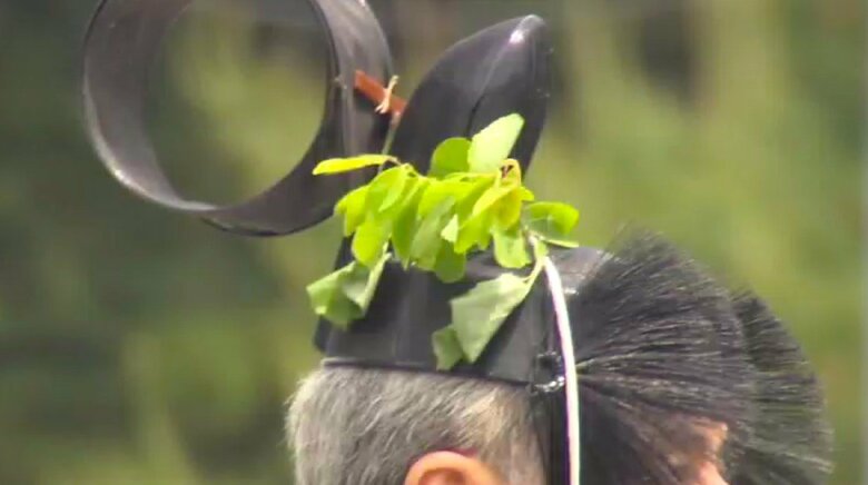 葵の葉で飾られる