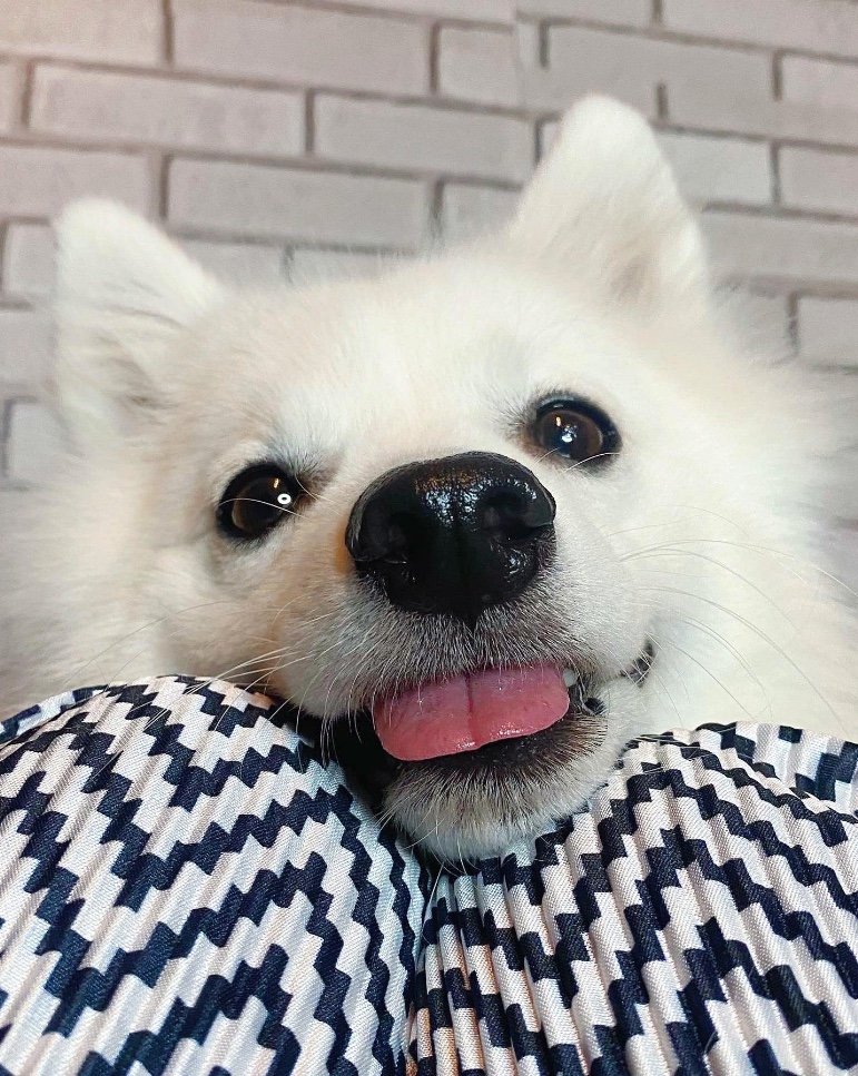 提供：ぽぽさん