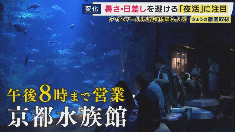 京都水族館は午後8時まで開館