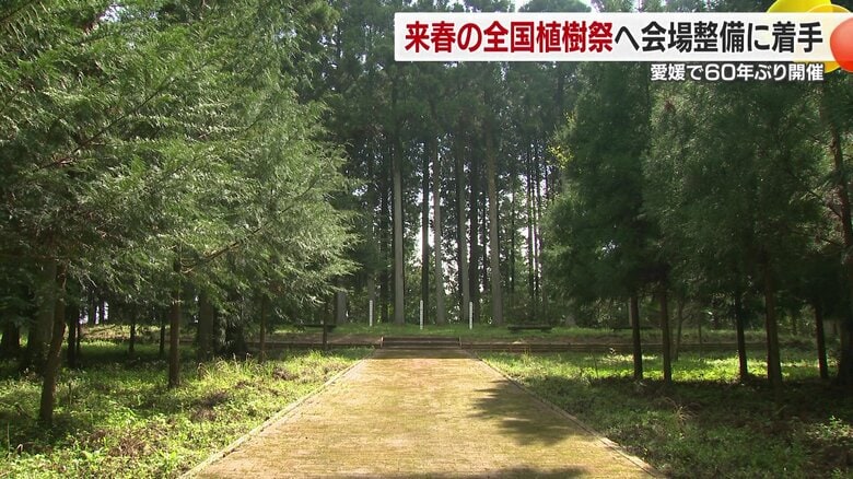 天皇皇后両陛下がお手植えされる木も後日、この場所に移植される