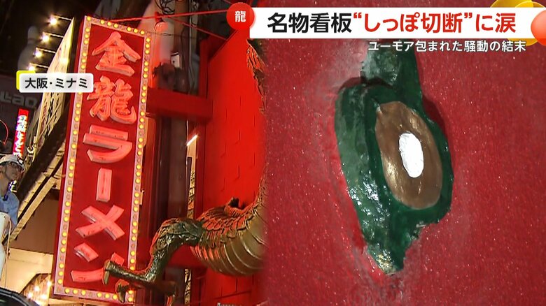 金色になった切られたしっぽの断面