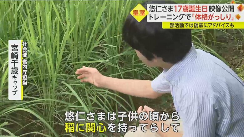 16歳の誕生日に公開された映像は、赤坂御用地の水田で撮影