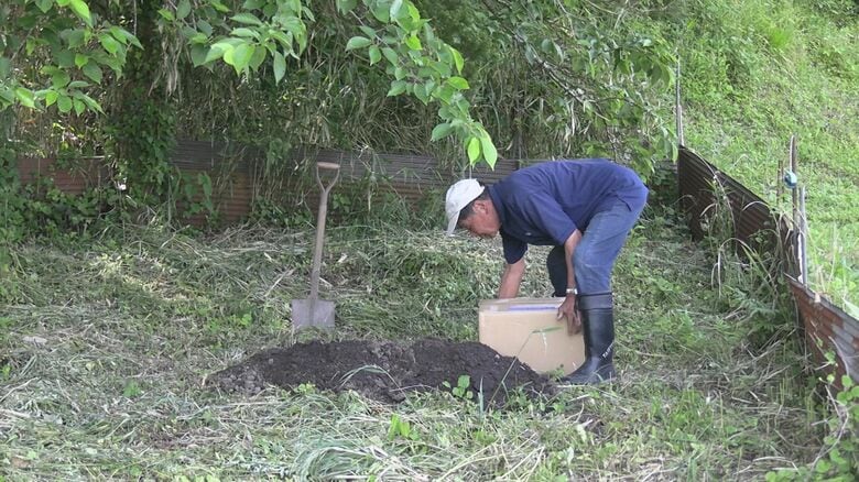 「トラ」を埋葬する川津さん