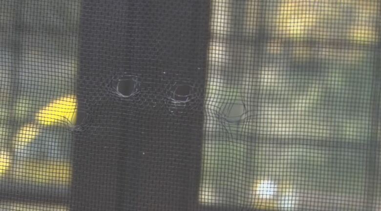 クマの爪痕らしき穴