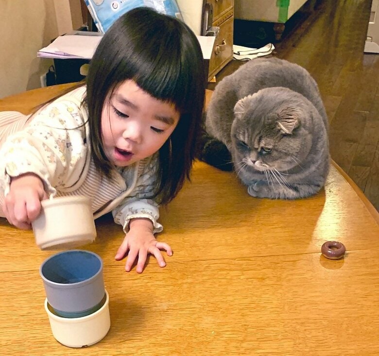 娘さんとたこやきくん