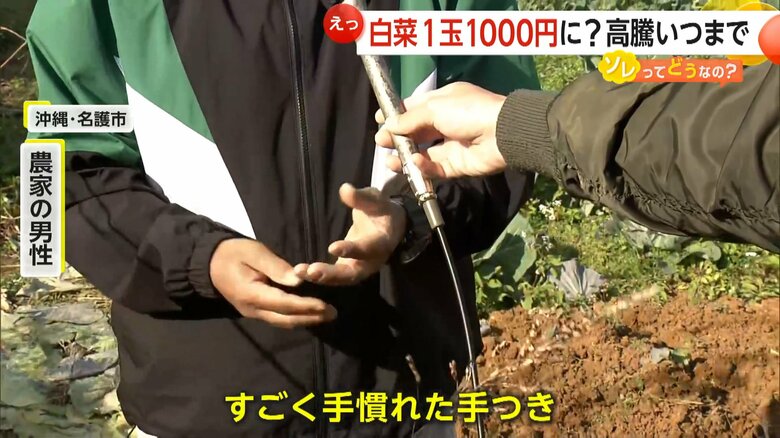 「すごく手慣れた手つき」で切られていたと話す農家の男性