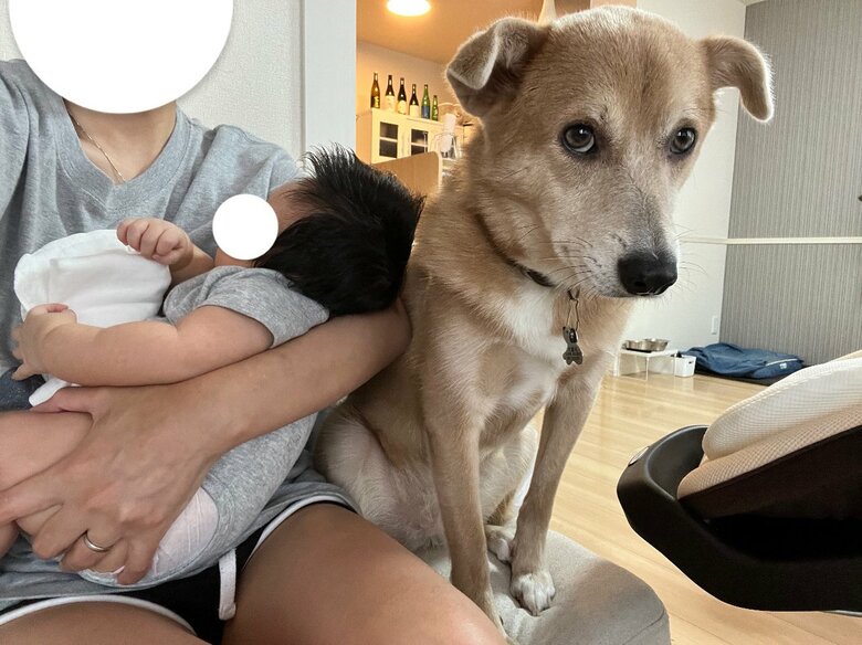 意地でも飼い主の隣に座りたいあさぎちゃん（提供：あさぎさん）