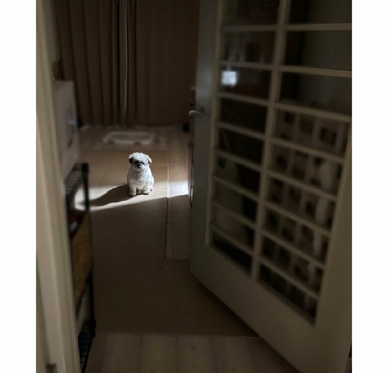 「おなかが空きました」と冷蔵庫の前にたたずんでいる