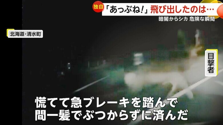 「慌てて急ブレーキを踏んで間一髪でぶつからずに済んだ」と話している撮影者